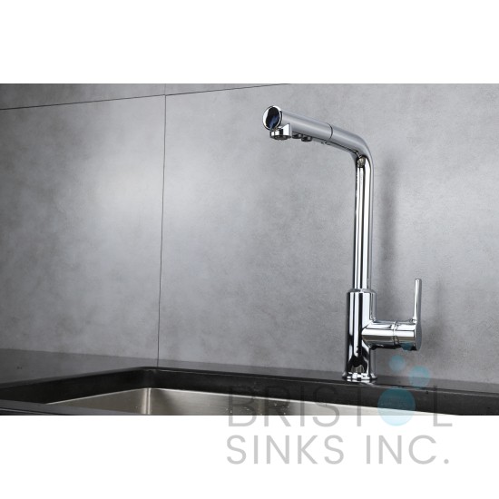 Salina Kitchen Pull-Out Faucet- Chrome