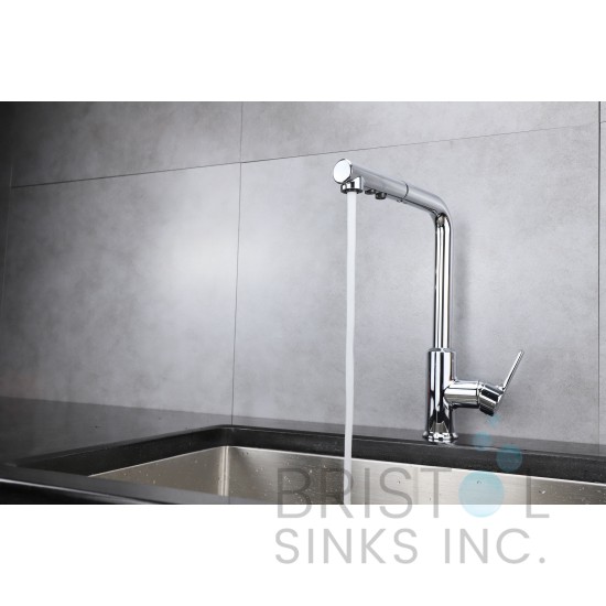 Salina Kitchen Pull-Out Faucet- Chrome