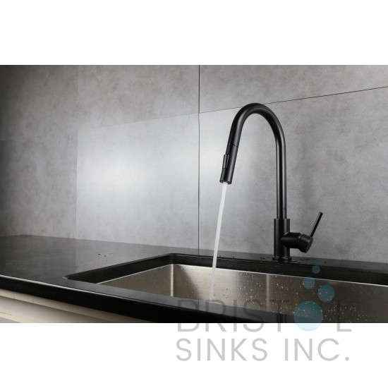 Rivera Kitchen Pull-down Faucet - Matte Black