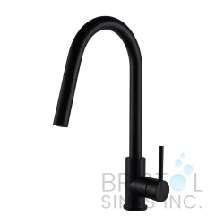 Rivera Kitchen Pull-down Faucet - Matte Black Rivera Kitchen Pull-down Faucet - Matte Black