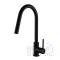 Rivera Kitchen Pull-down Faucet - Matte Black