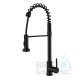 Curillo Kitchen Faucet - Pulldown - Matte Black Finish