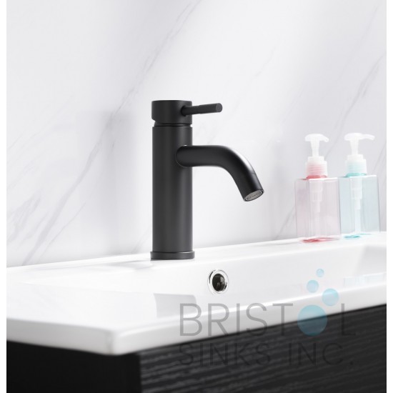 Toledo Single Hole Vanity Faucet - Matte Black Finish