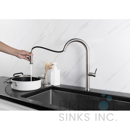 Vergara Kitchen Pull-out Faucet- Brushed Nickel