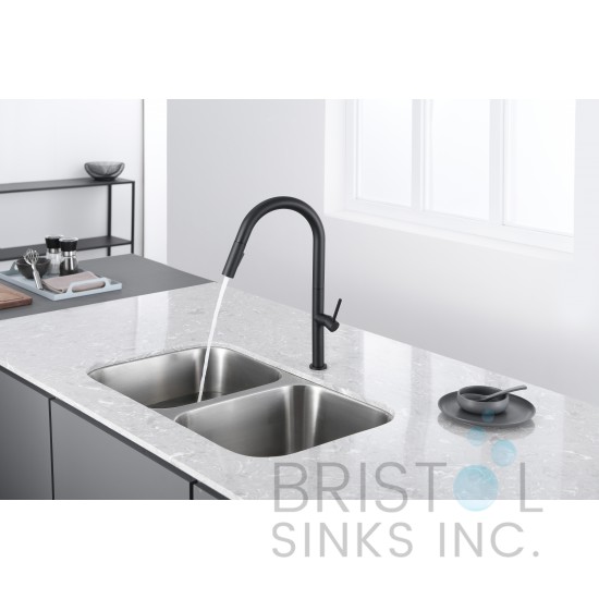Vergara Kitchen Pull-down Faucet- Matte Black finish