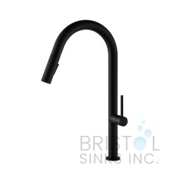 Vergara Kitchen Pull-out Faucet- Matte Black finish