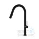 Vergara Kitchen Pull-down Faucet- Matte Black finish