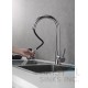 Rivera Kitchen Pull-down Faucet - Chrome