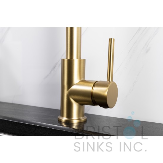 Rivera Kitchen Pull-down Faucet - Gold