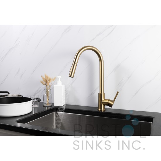 Rivera Kitchen Pull-down Faucet - Gold