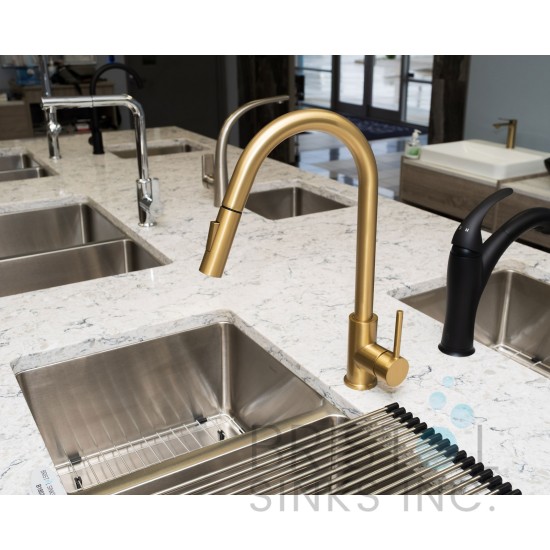 Rivera Kitchen Pull-down Faucet - Gold