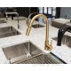 Rivera Kitchen Pull-down Faucet - Gold