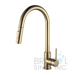 Rivera Kitchen Pull-down Faucet - Gold Rivera Kitchen Pull-down Faucet - Gold