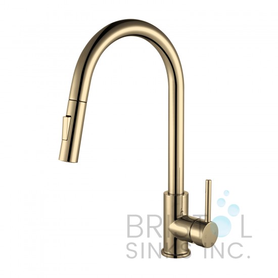 Rivera Kitchen Pull-down Faucet - Gold