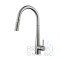 Floresta Kitchen Faucet Pulldown - Brushed Nickel