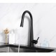 Floresta Kitchen Faucet Pulldown - Matte Black