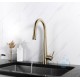 Floresta Kitchen Faucet Pulldown - Gold